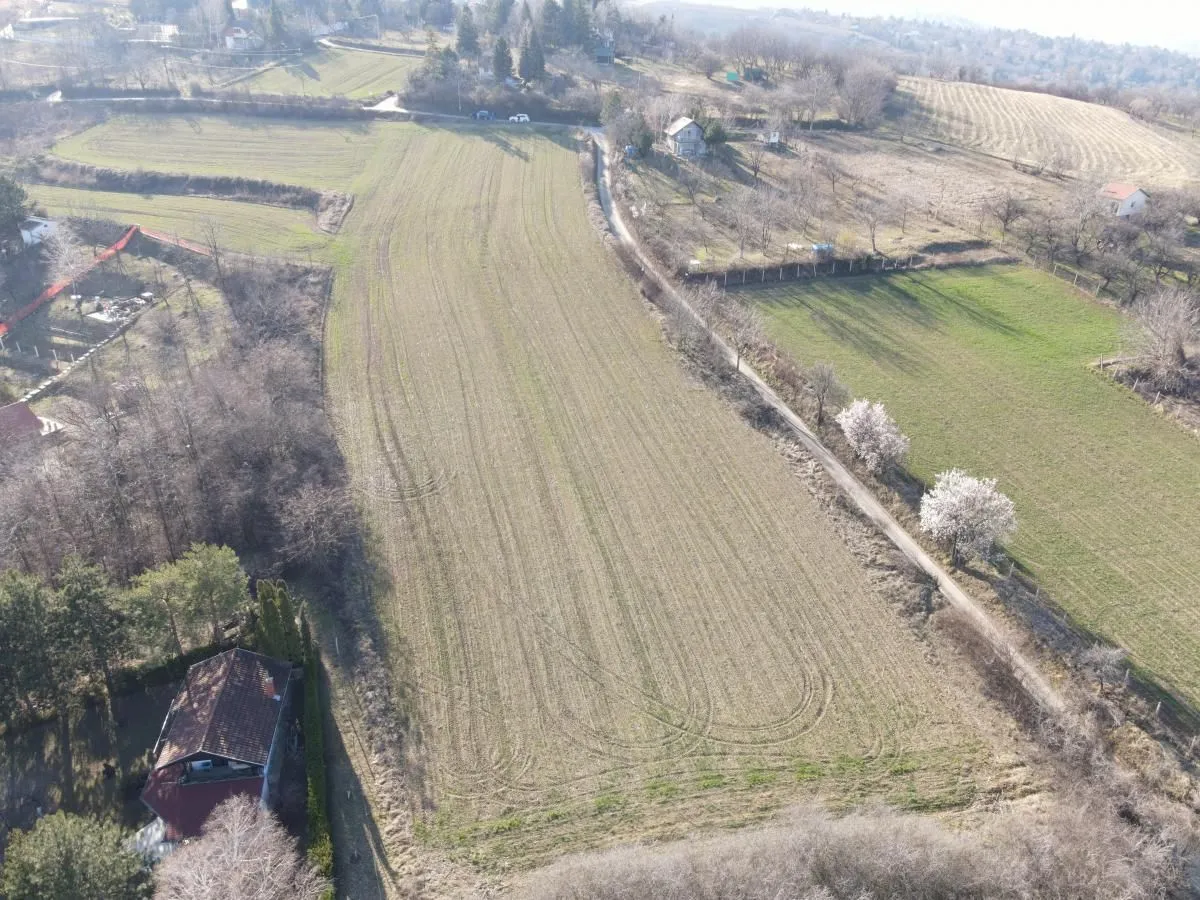 Prodaja, plac, 12268m², Ledinci, Petrovaradin