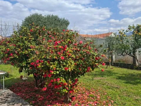 Izdavanje, garsonjera, 25m², Bijela, Herceg Novi - image 2