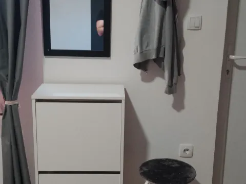 Rent, apartment, 28m², Adice, Novi Sad Sve Podlokacije - image 2