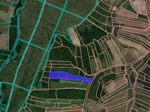 Prodaja, plac, 12000m², Alibegovac, Petrovaradin - image 2