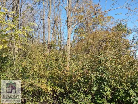 Prodaja, plac, 3800m², Obrenovac, Beograd - image 3