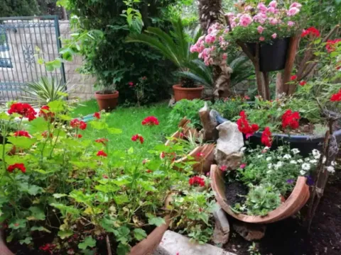 Sale, house, 287m², Lazi, Budva - image 2