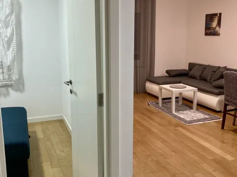 Izdavanje, jednosoban stan, 44m², Zemun Sve Podlokacije, Beograd - image 5