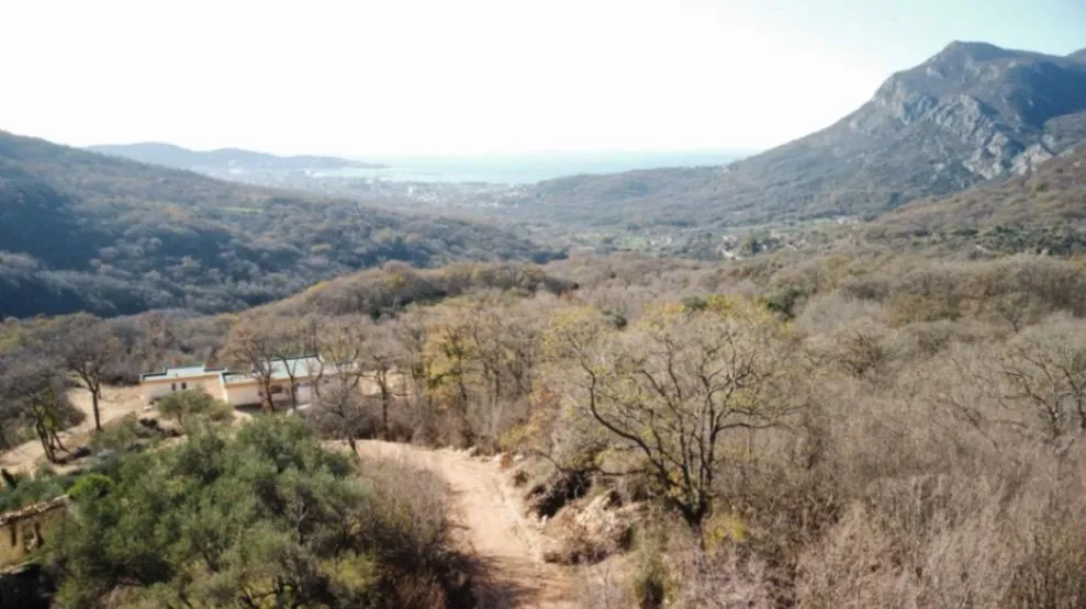 Prodaja, plac, 8000m², Tuđemili, Bar