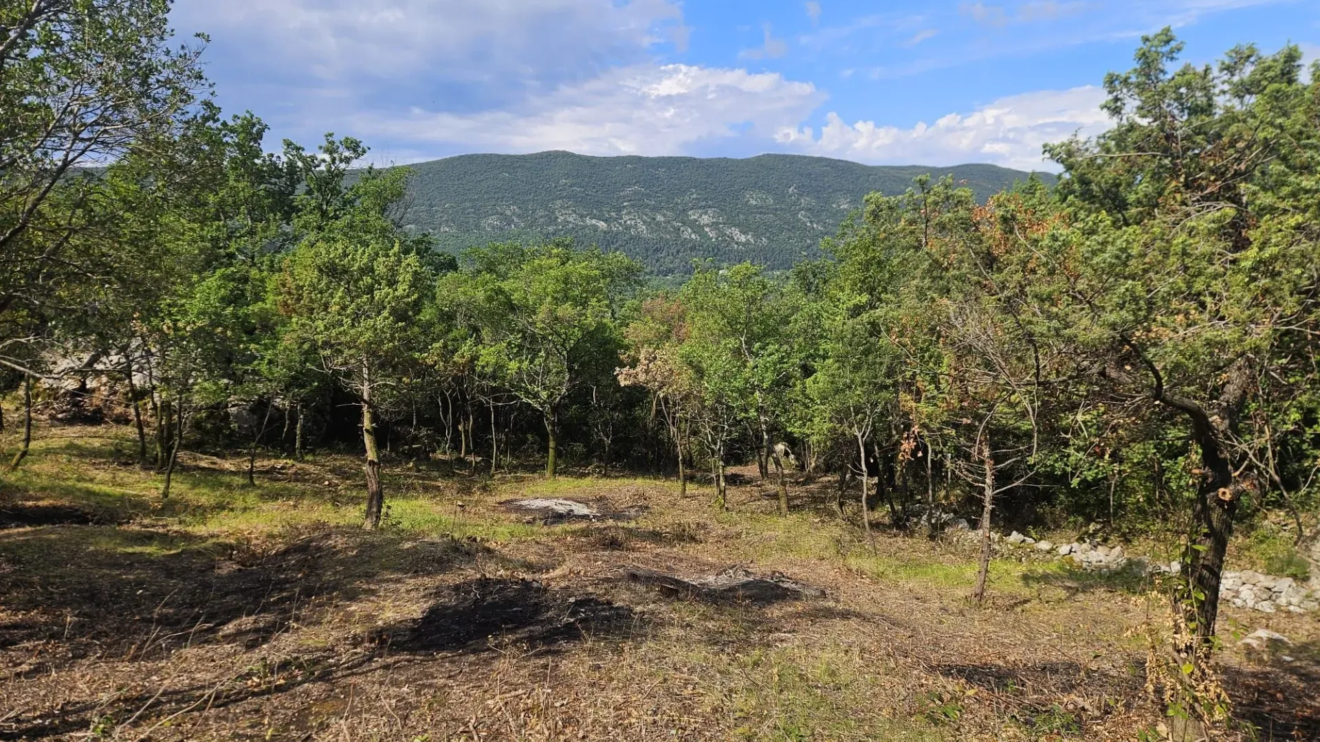 Prodaja, plac, 500m², Mojdež, Herceg Novi