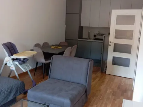 Izdavanje, jednosoban stan, 50m², Centar, Cetinje - image 7