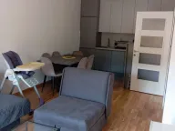 Rent, one bedroom apartment, 50m², Centar, Cetinje - image 7