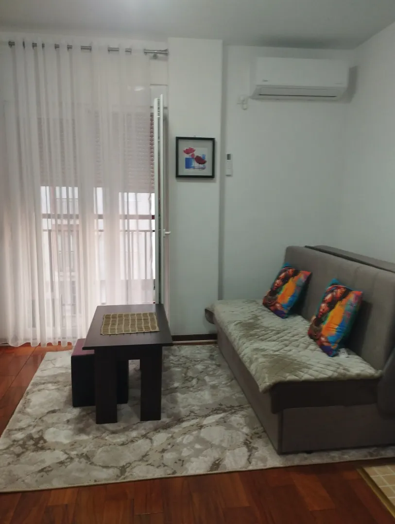 Rent, one bedroom apartment, 19m², Zabjelo, Podgorica