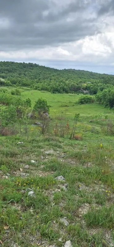 Prodaja, plac, 12650m², Gorica C, Podgorica