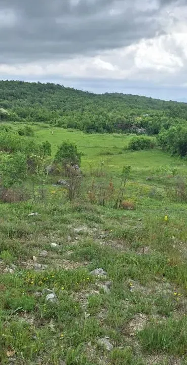 Sale, land lot, 12650m², Gorica C, Podgorica