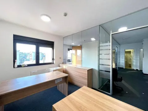Rent, office space, 233m², Južni Bulevar, Vračar Sve Podlokacije - image 10