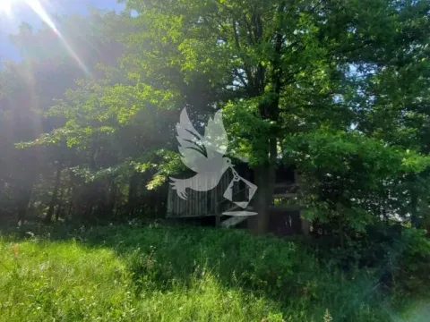 Prodaja, plac, 23000m², Mladenovac, Beograd - image 9