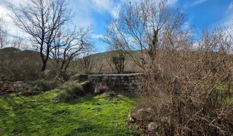 Pogled na zeleno dvorište i okolno rastinje. - image 9