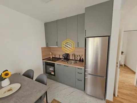 Izdavanje, jednosoban stan, 47m², Zagorič, Podgorica - image 8