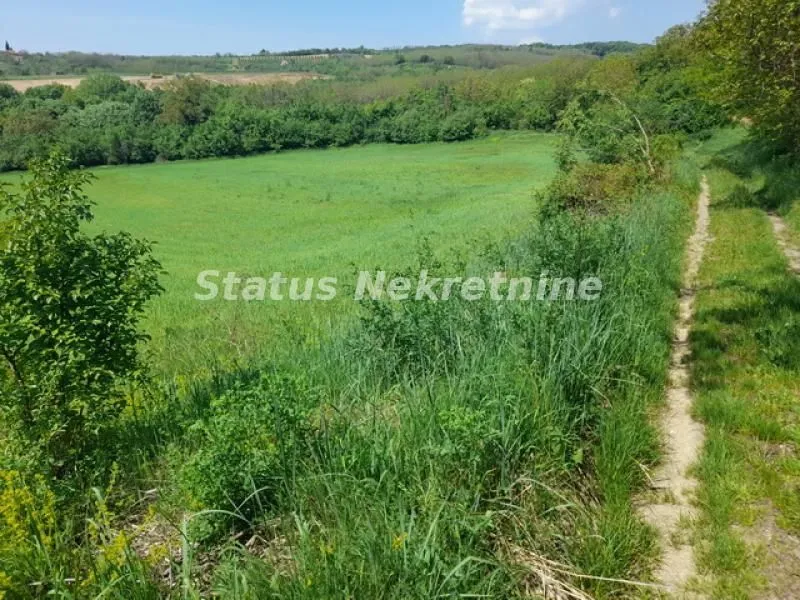 Prodaja, plac, 7500m², Irig, Srbija