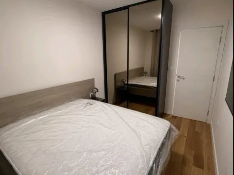 Izdavanje, jednosoban stan, 49m², Central Point, Podgorica - image 9