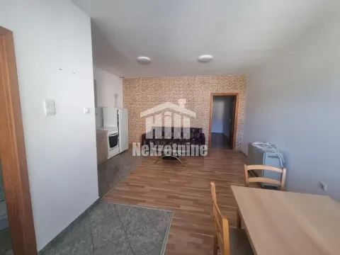 Izdavanje, dvosoban stan, 44m², Zemun Sve Podlokacije, Beograd - image 3
