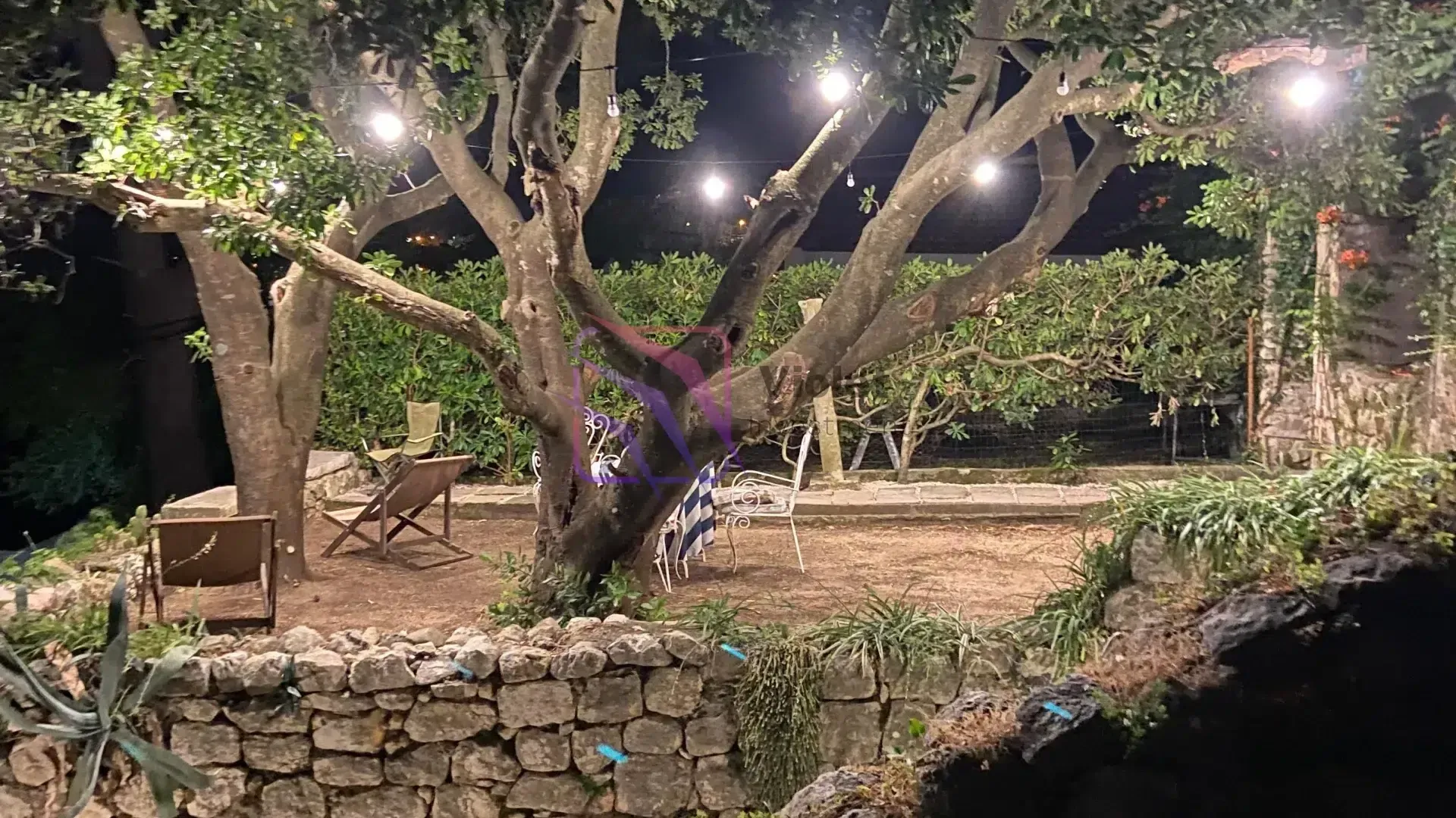 Osvijetljeno dvorište sa velikim drvećem i garniturom za sjedenje noću.