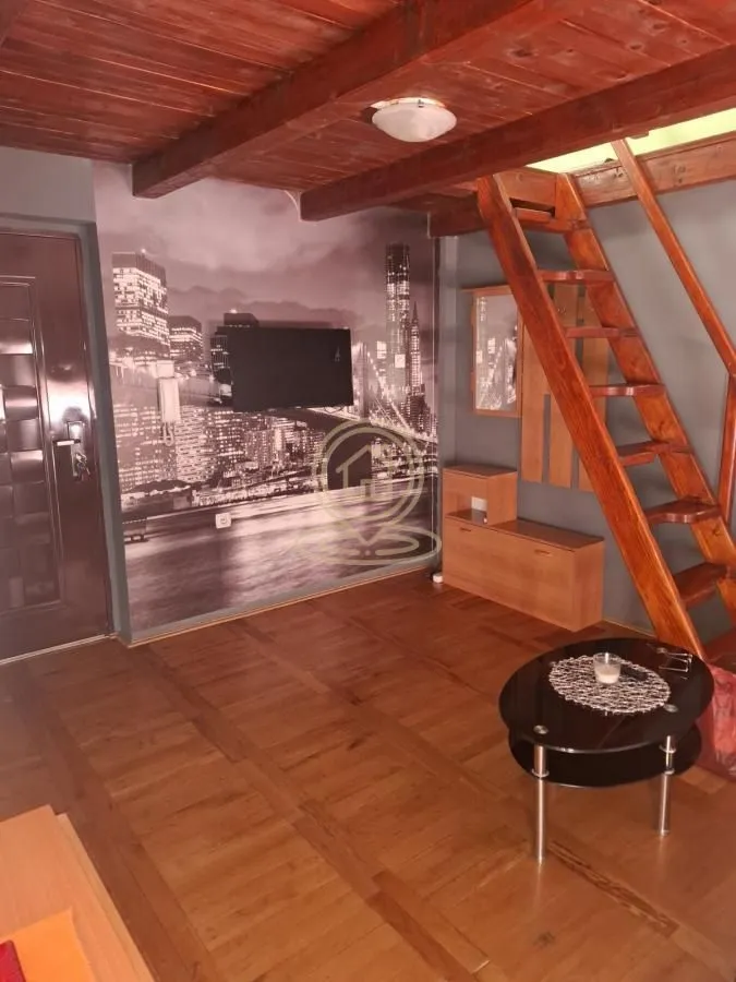Izdavanje, jednosoban stan, 35m², Centar, Novi Sad