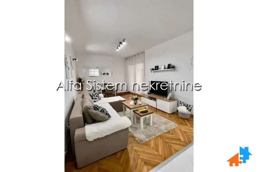 Izdavanje, dvosoban stan, 47m², Vračar Sve Podlokacije, Beograd