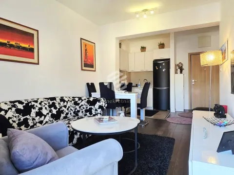 Prodaja, jednosoban stan, 48m², Vezirov Most, Podgorica - image 4