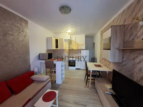 Rent, one bedroom apartment, 40m², Dalmatinska ulica, Podgorica - image 2