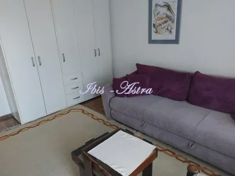 Izdavanje, dvosoban stan, 54m², Voždovac Sve Podlokacije, Beograd - image 3