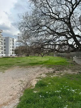 Prodaja, plac, 3176m², Dobre Vode, Bar - image 5