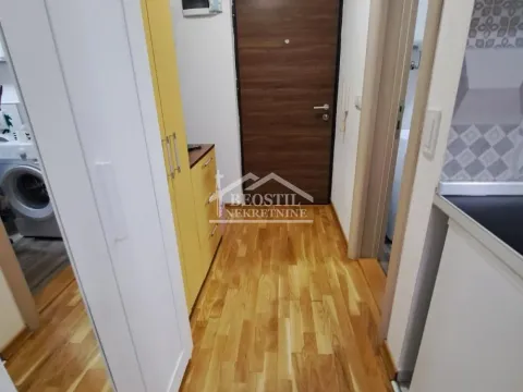 Izdavanje, jednosoban stan, 32m², Zemun Sve Podlokacije, Beograd - image 1