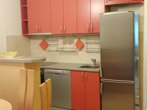 Izdavanje, dvosoban stan, 55m², Vračar Sve Podlokacije, Beograd - image 4