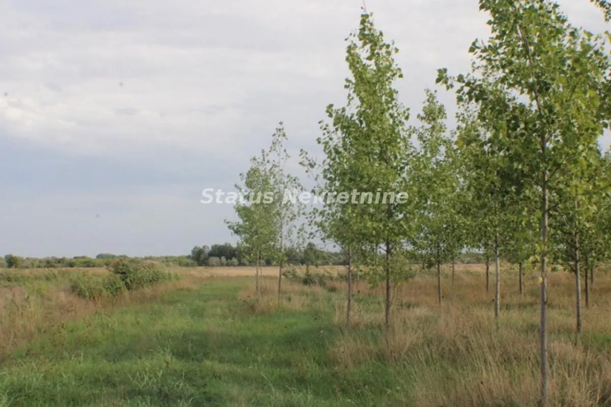 Prodaja, plac, 1378m², Zrenjanin, Srbija