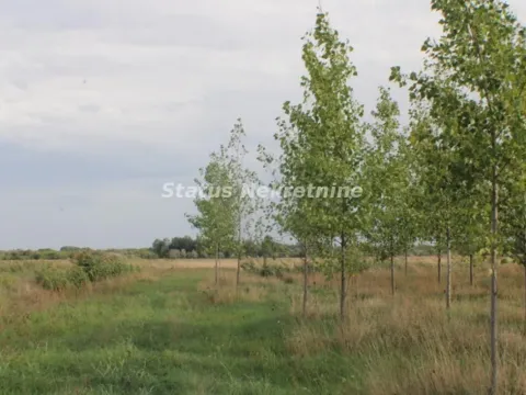 Prodaja, plac, 1378m², Zrenjanin, Srbija - image 35