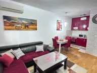 Izdavanje, jednosoban stan, 60m², City Kvart, Podgorica - image 10
