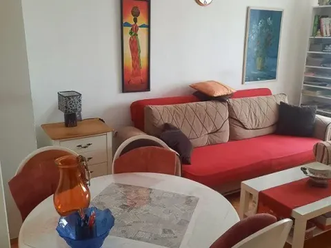 Prodaja, jednosoban stan, 48m², Zabjelo, Podgorica - image 7