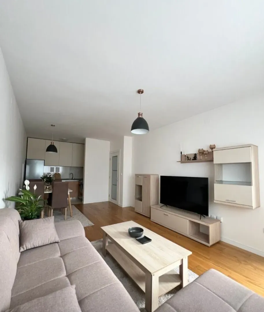 Izdavanje, jednosoban stan, 49m², Central Point, Podgorica
