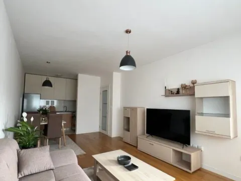 Izdavanje, jednosoban stan, 49m², Central Point, Podgorica