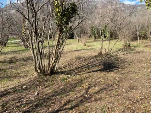 Pogled na prostrano dvorište sa drvećem i prirodnim okruženjem. - image 2