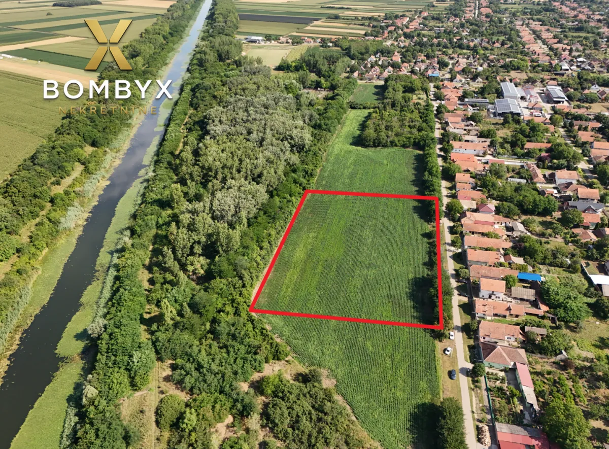 Sale, land lot, 11500m², Bački Petrovac, Novi Sad