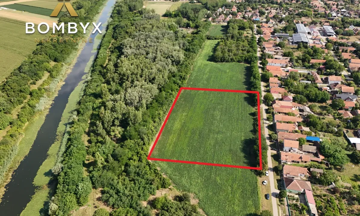 Prodaja, plac, 11500m², Bački Petrovac, Novi Sad