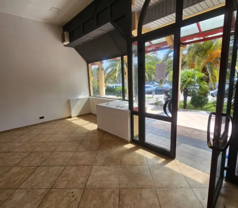 Izdavanje, poslovni prostor, 160m², Centar, Podgorica