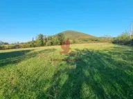 Prodaja, plac, Kosmaj, Sopot - image 10