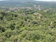 Sale, land lot, 3000m², Radanovići, Kotor - image 5