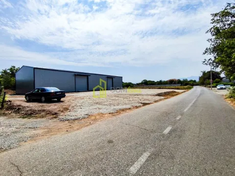 Izdavanje, poslovni prostor, 450m², Zeta, Podgorica - image 4