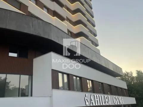 Izdavanje, dvosoban stan, 35m², Južni Bulevar, Vračar Sve Podlokacije - image 4