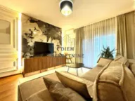 Rent, one bedroom apartment, 55m², Master Kvart, Podgorica - image 2