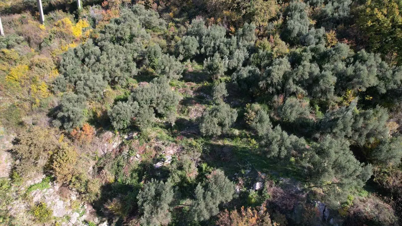 Prodaja, plac, 1320m², Petrovac, Budva