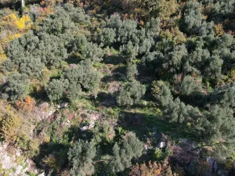 Prodaja, plac, 1320m², Petrovac, Budva - image 3