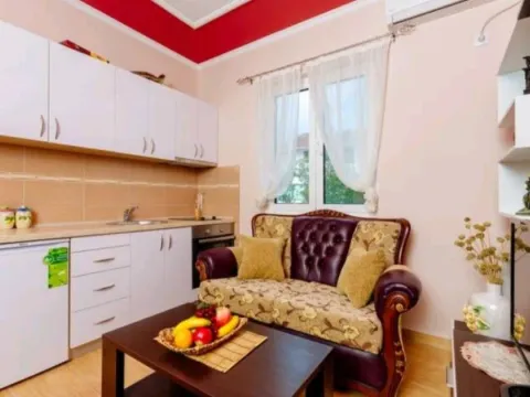 Rent, one bedroom apartment, 45m², Donja Lastva, Tivat - image 2