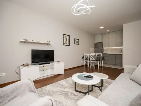 Izdavanje, jednosoban stan, 50m², Master Kvart, Podgorica - image 9