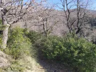 Prodaja, plac, 9800m², Tomba, Bar - image 3